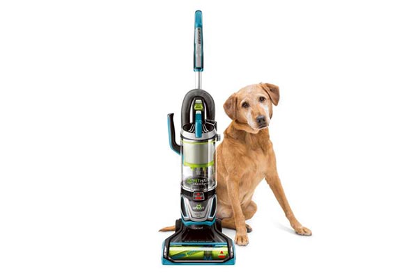 best cordless stick vacuum for pet hair